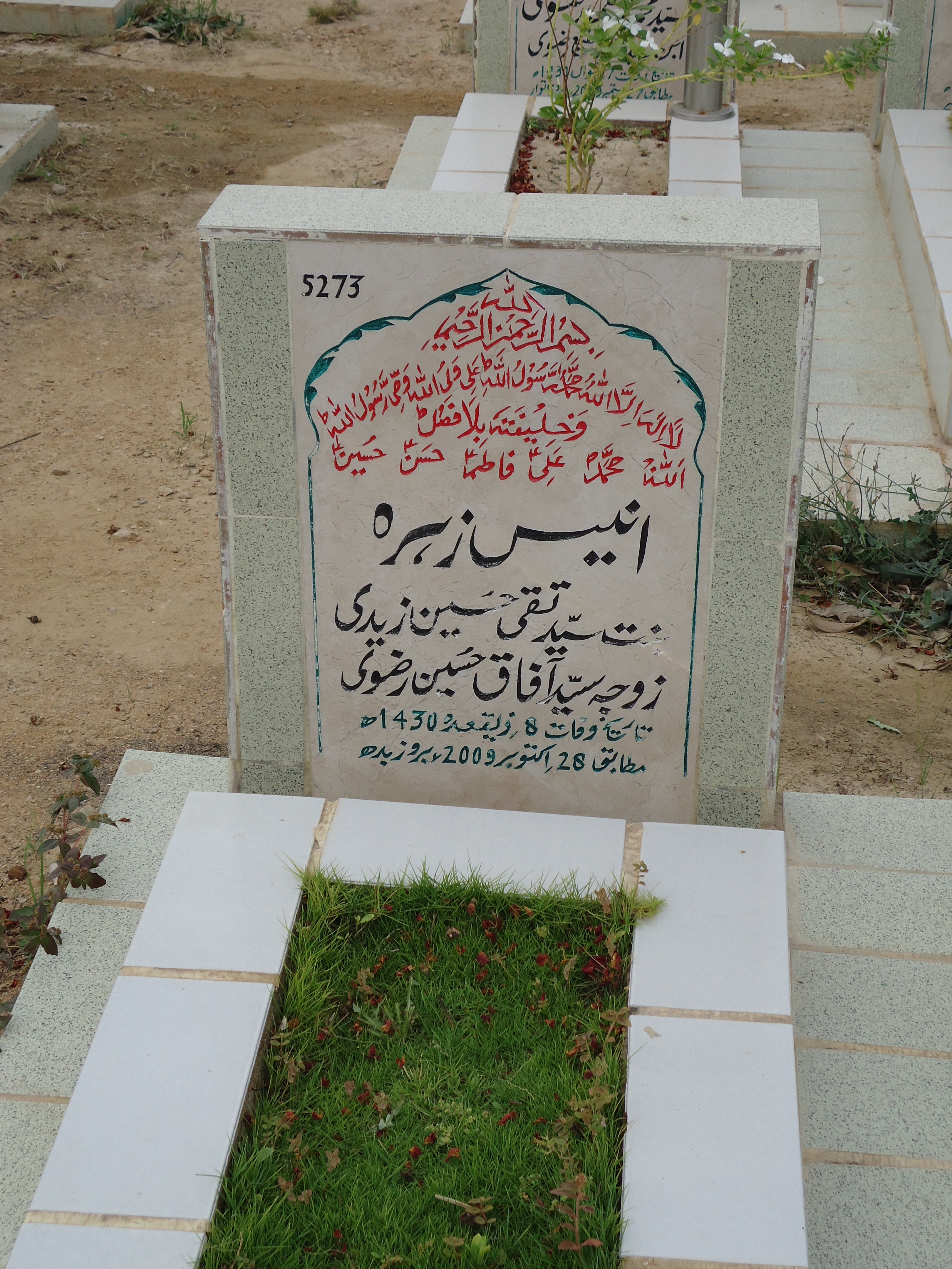 5273 – Anees Zehra